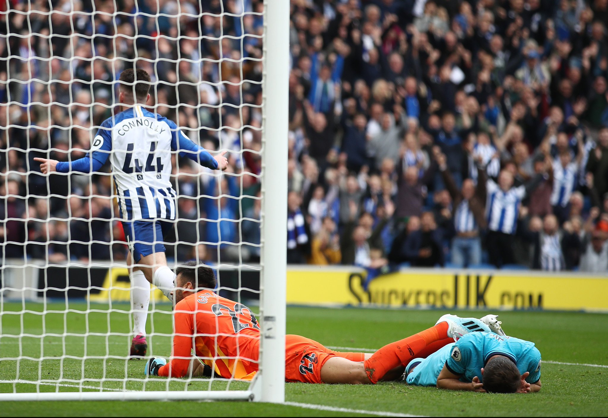 积极乐观的 积极乐观的